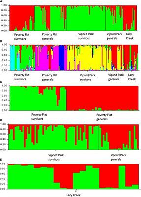 Growth, Chemistry, and Genetic Profiles of Whitebark Pine Forests Affected by Climate-Driven Mountain Pine Beetle Outbreaks